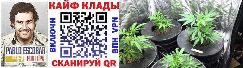 Купить наркотики цена Почеп Канабис  МЕФ 