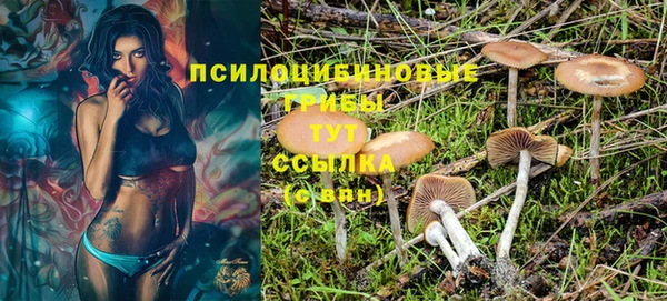 дурь Абдулино
